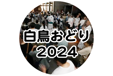 白鳥おどり 2024年