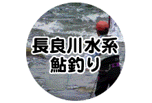 長良川水系鮎釣り